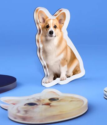 Dobra cena. /HAPPY GIFT /Tworzenie na zamówienie /Dzieci domowe /Magnet lodówki akrylowej /Słodkie animacje /Holograficzna naklejka z tworzywa sztucznego w Internecie